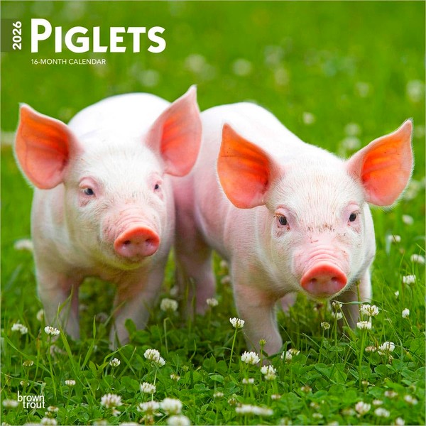 Piglets | 2026 12 x 24 Inch (Hanging) Monthly Square