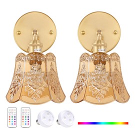 Shenmoyl Vintage Battery Operated Wall Sconces Set of Two, Wireless Battery Powered Rose Wall Sconce with Remote Control, RGB Dimmable LED Wall Light for Bedside Bedroom Living Room (Amber)