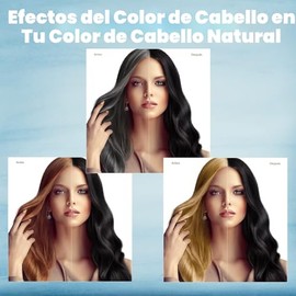 IIIMEIDU - Champú para teñir el cabello gris, tinte natural negro 3 en 1 para mujeres y hombres, 500ml