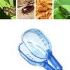 3in1 Feeding Tool Reptile Feeding Tongs Cricket Clamp Bug Scooper,