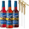 Torani Sugar Free Fruit Flavor Syrup Variety Pack - Raspberry,