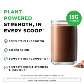 POWERLIFE High Impact Plant Protein Powder with 3000 MG of HMB, Plant-Based, No Sugar Added, Vegan, Keto Friendly, Non-GMO (Chocolate - New Formula)