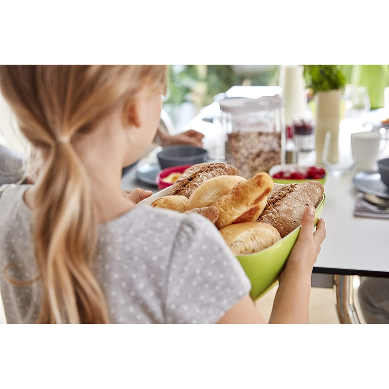 Emsa 513555 Optima rectangular dry goods storage container with lid,