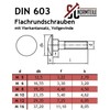 SC603 M6 x 50 M6 x 50 mm DIN 603