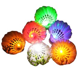 Leadge LED Shuttlecock Badminton Birdies, Shuttlecock Dark Night Goose Feather Glow Birdies Lighting for Outdoor Indoor Sport Activities Toys Gift Game(6 Packs) (Multi Color)