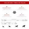 ASTORPET | Adjustable Dog Collar, Soft and Durable for Small,