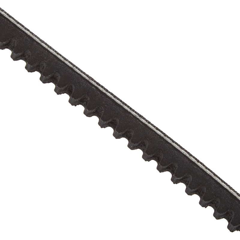 SKF VKMV 10AVX730 V belt