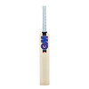 Gunn & Moore GM, RADON, Cricket Bat, DXM, TOETEK Technologies,