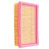 Road Passion AP8104329 Air Filter Replacement for CAN-AM Spyder 1000