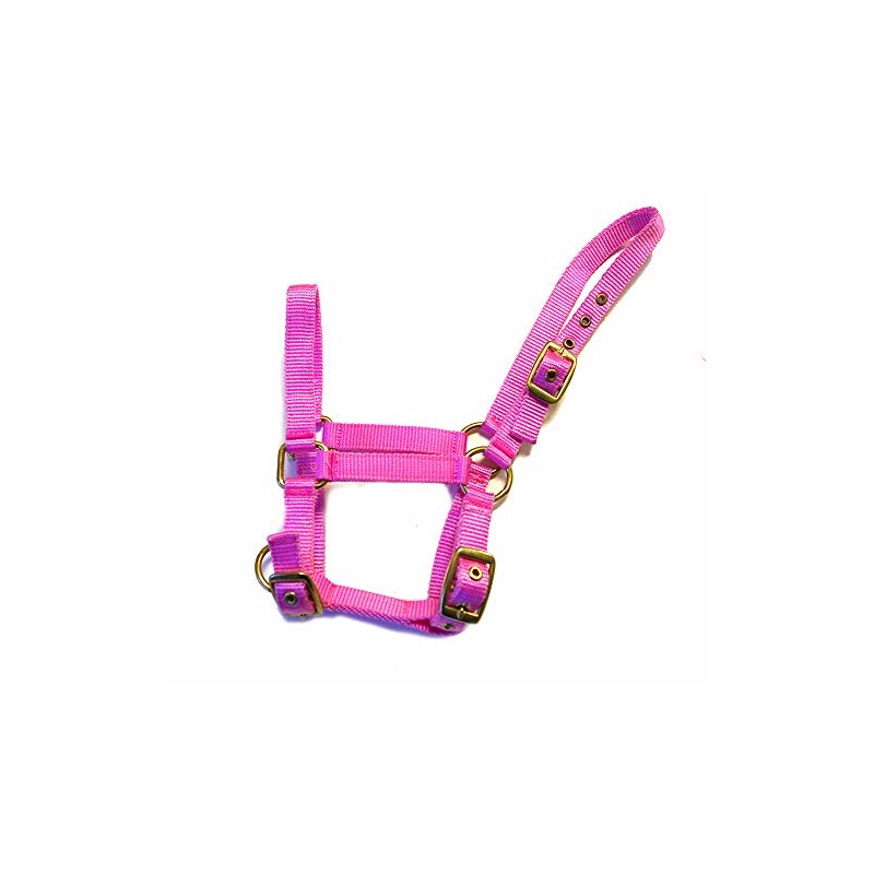 Rhinegold Nylon Foal Headcollar - Pink