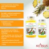 Probiotics & Vitamins for Kids and Adults Natural Pineapple Gummies