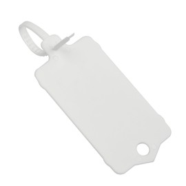 LeadSeals 100pcs Blank Plastic Tags for Labeling Reusable Hanging Tags Ties Key Tags Storage Tags Waterproof Plastic Mark Label Writable Hang Sign (White)