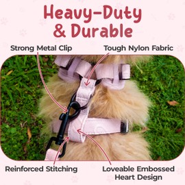 No Pull Puppy Harness and Leash Set – No Choke Neoprene Dog Harness for Extra Small Dogs (5–15lbs) Pink XS, Lightweight Breathable Mesh with Unique Heart Pattern, Adjustable Fit