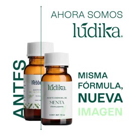 Aceite Esencial De Menta Piperita 10 Ml, Aromaterapia, Spa