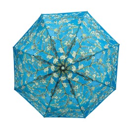 Teleskop Regenschirm - Mandelbaum, blau