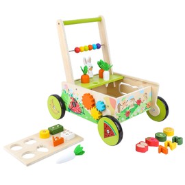 Wodden Baby Walker, Baby Push Walker Toys for Boys Girls 6-12 Months, Montessori Multiple Activity Center, Toddler Push and Pull Walkers with Wheels (Fruit)