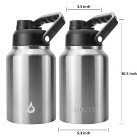 BJPKPK 64 oz Insulated Water Bottle, Dishwasher Safe Half Gallon Water Bottle with Ergonomic Handle, BPA Free Leak Proof Water Jug with Anti-slip Bottom, Stainless Steel Primary Color