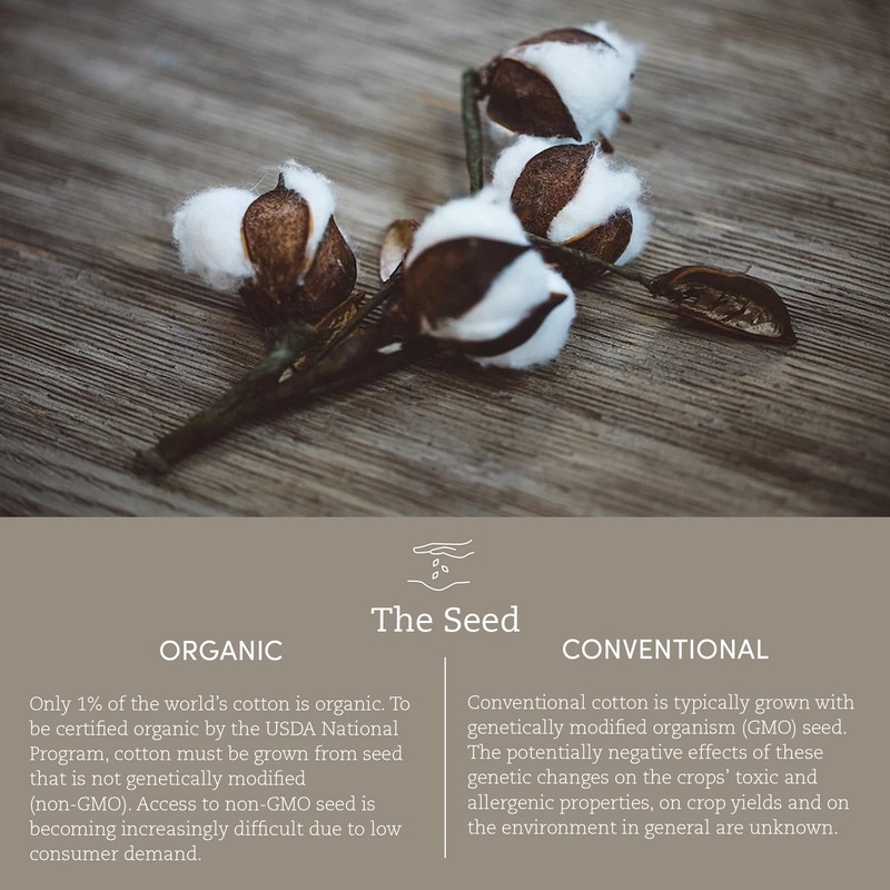 Coyuchi Organic Crinkled Percale Sheet Set, Alpine White (Twin)