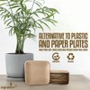 Disposable Palm Leaf Plates - 25 Pack - Compostable and