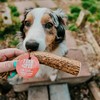 Farm To Pet, Whole Elk Antlers for Dogs - Long