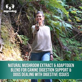 MycoDog Digest - Mushroom Extract & Adaptogen Tincture Dog Supplement - Dog Digestive Support Blend - Roots, Herbs, & Mushroom Extracts Including Chaga, Shiitake, & Turkey Tail