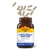 Country Life - Triple-Action Stress Shield Nighttime - 60 Vegetarian