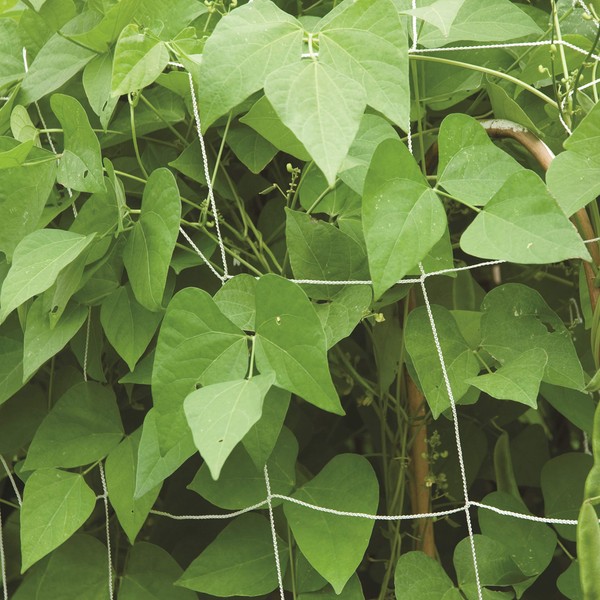 Burpee Garden Trellis | Nylon Net | 5' X 15',