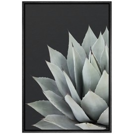 SIGNWIN Framed Canvas Print Wall Art Ash Green Agave Parryi Succulent on Dark Background Floral Plants Photography Minimalism Southwest Relax/Calm for Living Room, Bedroom, Office - 16"x24" Black