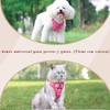 Arnés y Correa para Perros Gato,Pechera con 1.5M de Correa,