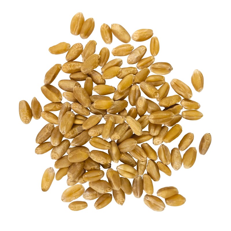 Palouse Brand Certified Glyphosate Residue Free Hard White Wheat Berries