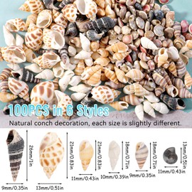 Ailvor Pack of 100 Shells, Shells for Crafts, Natural Shells Decoration with Storage Box, Shells Mixed Undrilled for Bracelet Jewellery, Vase Fillers, Fish Tanks, DIY Crafts