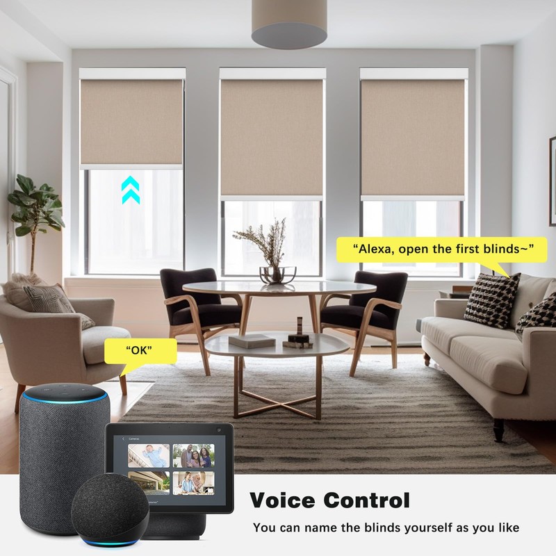 Changshade Motorized Smart Blinds for Windows with Remote Control, Automatic