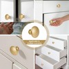 50 Pack Gold Round Cabinet Knobs Drawer Knob Bulk Set/