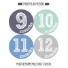 Months in Motion Monthly Label for Boy - Milestone Sticker