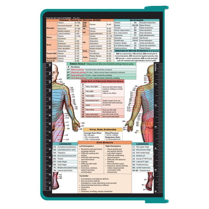 Whitecoat Clipboard® - Physical Therapy Edition (Teal, Bifold)