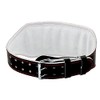 Gladiator Sports Sports Weight Lifting Belt / Fitness Belt