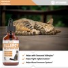 Allergy Relief for Cats | Helps to Naturally Support Allergy