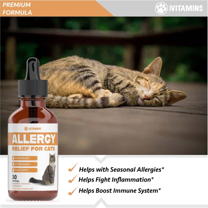 Allergy Relief for Cats | Helps to Naturally Support Allergy