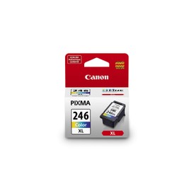 CANON INKCART,CL-246 XL,AST