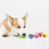 Vibrant Life Playful Buddy Dog Toys, Emoticon, Extra Small, 5
