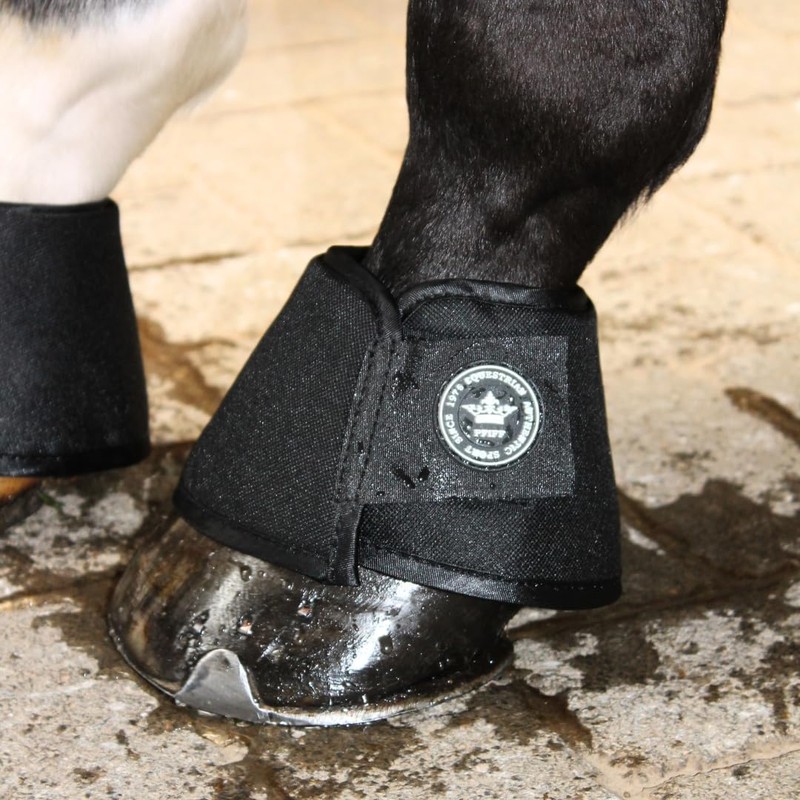 PFIFF 102989 Water Tank, Bell for Dry Hooves, Black, L