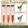 SiliFine 8 Pack Plant Watering Devices with 4 Pcs Terracotta