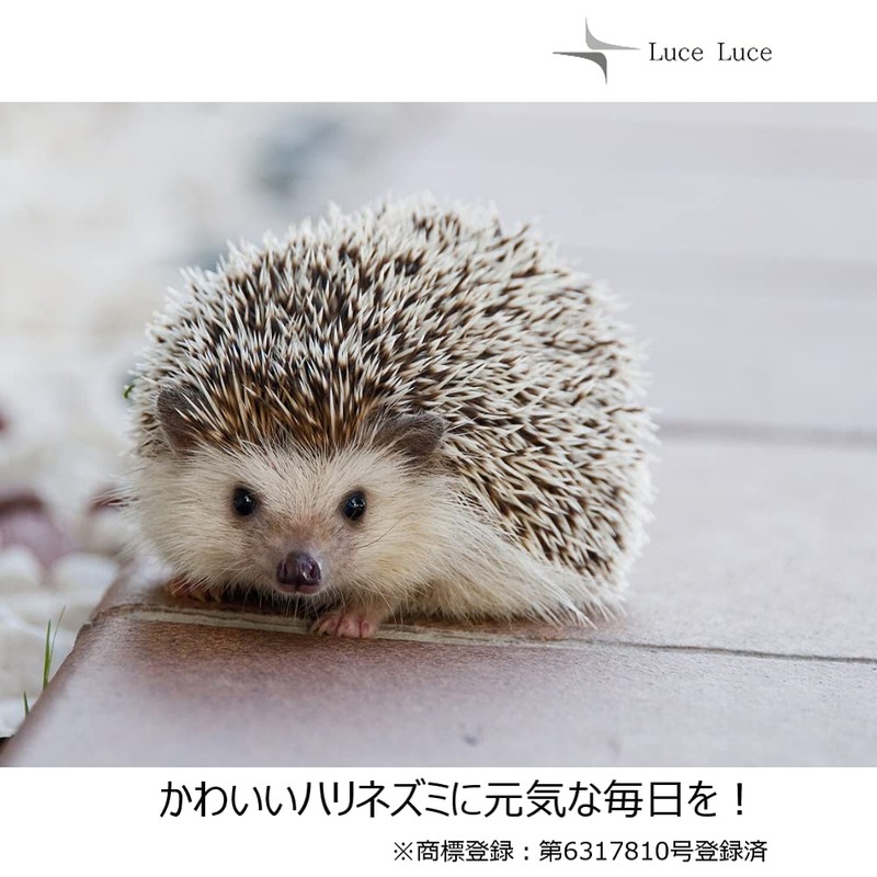 LuceLuce Hamster, Water Supply, Small Animals, Water Container, Pet, Water