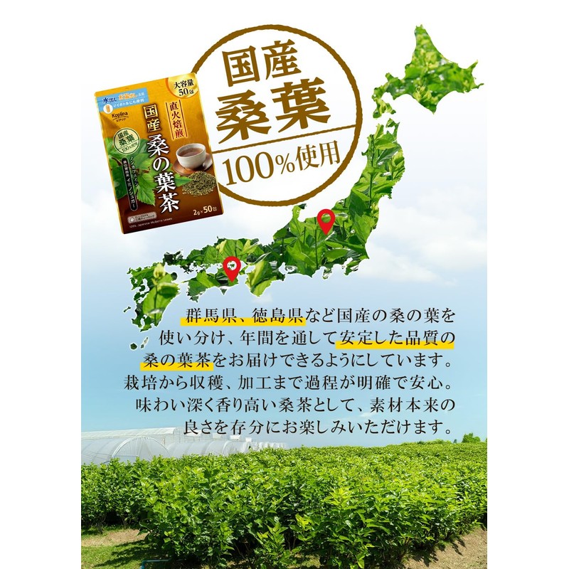Coplina Domestic Mulberry Leaf Tea, 0.08 oz (2 g) x