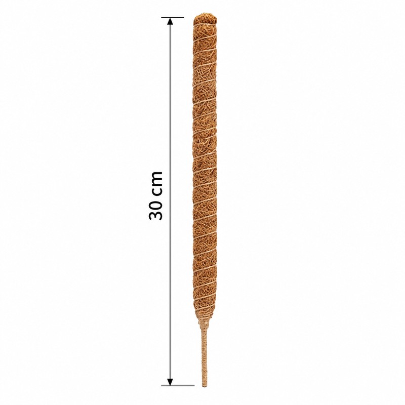 Moss Pole for Climbing Indoor Plants – Plant Fiber Support