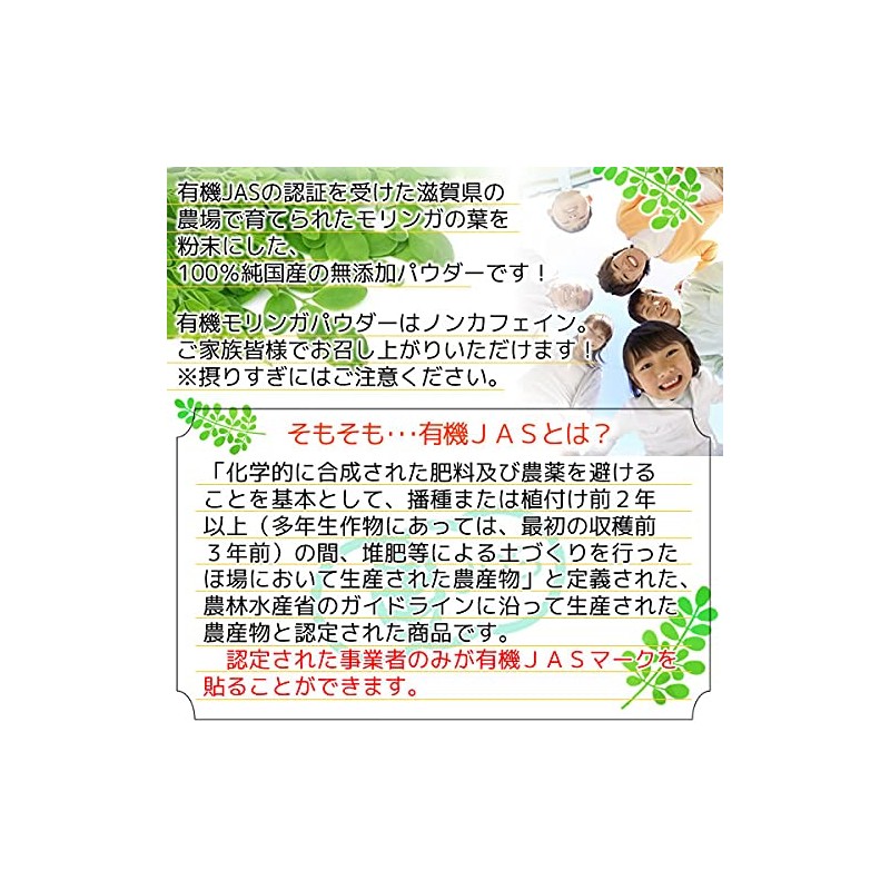 ヘルシーカンパニー オーガニック 国産 モリンガパウダー100ｇ モリンガ粉末 モリンガ青汁 こだわり製法 有機
