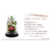 Art Four Seasons▲Offering Mom Dome Preserved Flower (Pink)