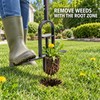 34 Inch Long Handle Grass Plugger Tool with 3 Inch