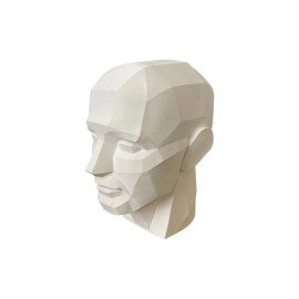 10" 25.4 cm Planar Head, Planar Bust, Learn the Planes of the Head