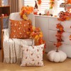 DFXSZ Fall Pumpkin Pillow Covers Set of 2, 18x18 Inch